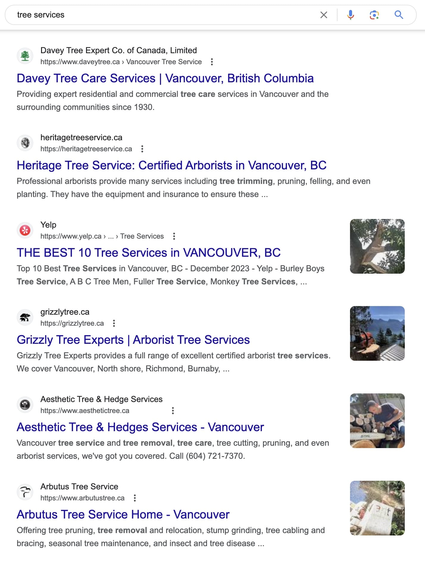 tree services vancouver – google search-min