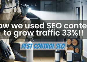 How we used SEO content to grow traffic 33%!!